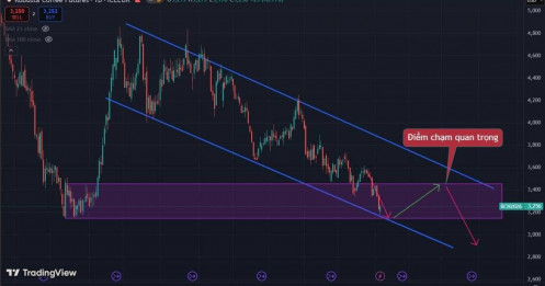 Đánh giá đà tăng của cafe robusta kỳ hạn tháng 7/2026