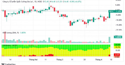 Cổ phiếu QCG tăng trần giữa “bão đỏ” thị trường, trùng thời điểm xét xử bà Nguyễn Thị Như Loan