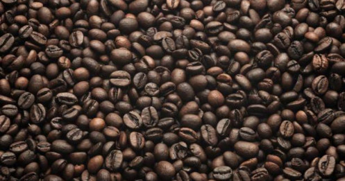 Thị trường cà phê ngày 10/4: Lực mua đã quay trở lại sau giai đoạn bán tháo