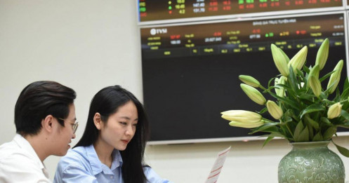 Tiền mặt là kênh phòng thủ tối thượng?