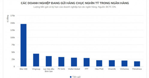 Doanh nghiệp niêm yết và chiến lược biến "núi tiền" thành cỗ máy sinh lời