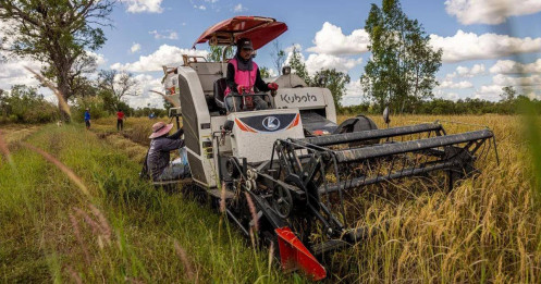 Cơn sang chấn năng lượng đe dọa bát cơm Đông Nam Á