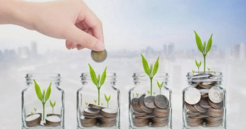 Những sai lầm khi đầu tư trung/dài hạn từ kinh nghiệm bản thân!