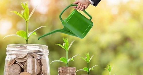 "Cơn mưa tiền mặt" đổ bộ thị trường chứng khoán tuần mới