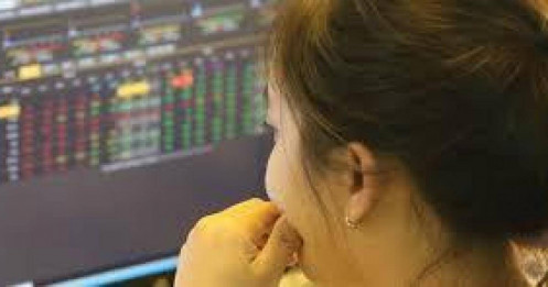 Ngành Ngân hàng vào mùa đại hội: "Cơn mưa" cổ tức và quà tặng cổ đông