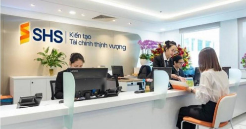 Pyn Elite Fund 'gom' 8 triệu cổ phiếu SHS: tín hiệu gì từ các cá mập ngoại?