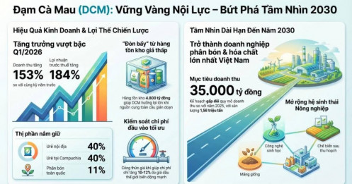 DCM - Đạm Cà Mau: Kết quả kinh doanh sơ bộ Q1/2026