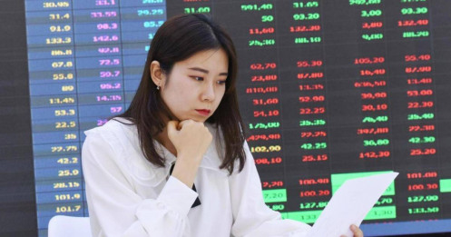 VN-Index "trưởng thành" bằng nỗi đau của nhà đầu tư?