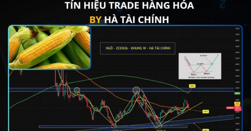 Ngô – kèo đẹp nhất nhóm nông sản hiện tại?