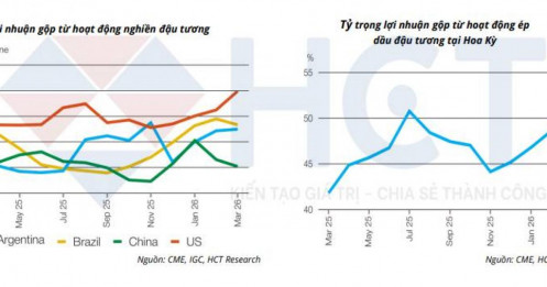 Dầu thực vật trước "cú nén" lịch sử: Chính sách Biofuel Mỹ đối đầu rủi ro địa chính trị