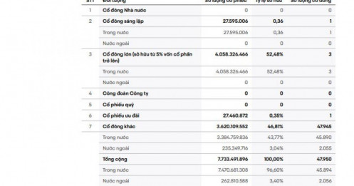 Gần 48.000 cổ đông nắm giữ 7,7 tỷ cổ phiếu VIC