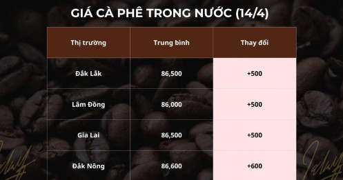 Giá cà phê 14/4 nhích tăng, nhưng thị trường vẫn chưa có sự bứt phá