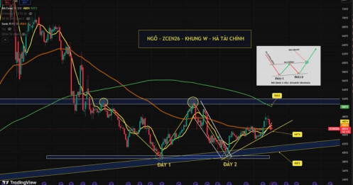 Ngô CBOT: Dòng tiền rút ngắn hạn, nhưng nền tảng cung – cầu vẫn hỗ trợ giá