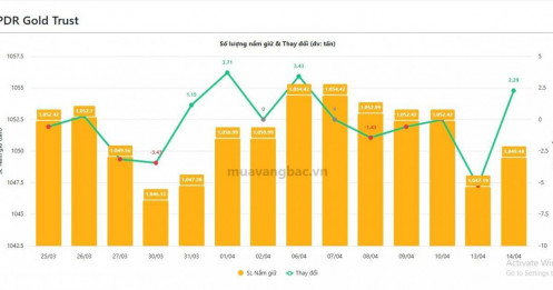 Giá tăng vọt, quỹ vàng bạc lớn nhất thế giới vẫn mạnh tay “gom hàng”