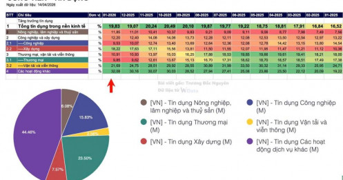 Tăng trưởng cho vay tín dụng gần 20% đi vào đâu ?