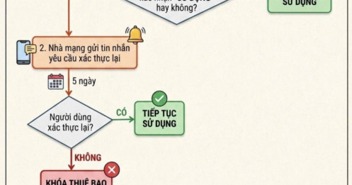 Hôm nay bắt đầu xác nhận SIM chính chủ bằng VNeID