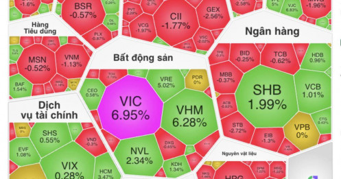 VIC bùng nổ, VN-Index ‘bay cao’: Khi cổ phiếu trụ định đoạt cuộc chơi