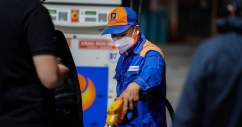 43.000 cổ đông nhỏ lẻ không cứu nổi tư cách đại chúng của Petrolimex