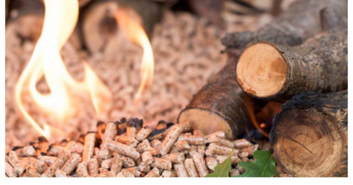 PTB: Kết quả kinh doanh Q1/2026 và kế hoạch 2026 tích cực