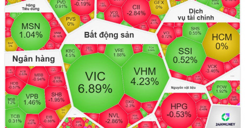 VN-Index lập đỉnh, cổ phiếu rơi hàng loạt: Chuyện gì đang xảy ra?