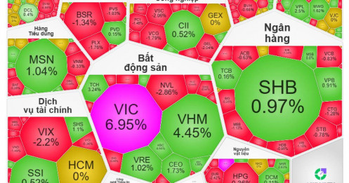 Họ Vingroup lại “gánh team”