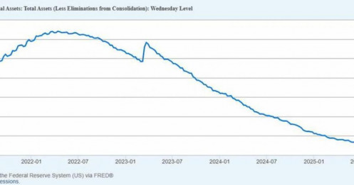 Fed vẫn đang bơm tiền theo cách bạn không thấy?
