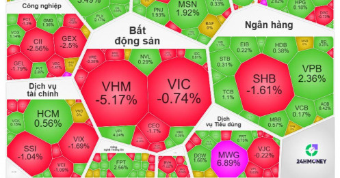 VHM trở thành ‘tội đồ’ của VN-Index?