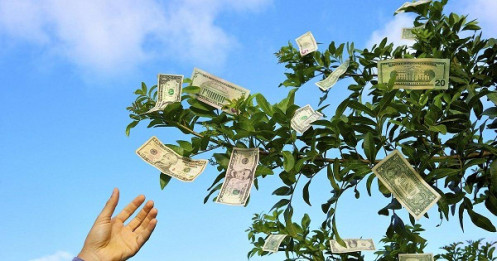 Điểm mặt nhóm doanh nghiệp chia cổ tức "khủng" tuần tới