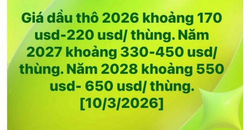 Tin lời hội nhóm, nhiều người “ngậm đắng” với kịch bản dầu 500 USD
