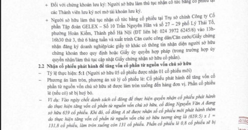 GELEX (GEX) chốt quyền chia cổ tức và cổ phiếu thưởng cho cổ đông