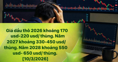 Tin giá dầu 500 USD/thùng gây “thảm họa”, nhà đầu tư đu đỉnh mất hàng trăm triệu