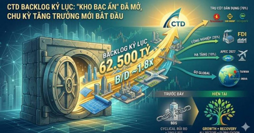 Coteccons (CTD) và con số 62.500 tỷ: Khi "Kho bạc ẩn" bắt đầu phát lộ