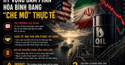 Hy vọng đàm phán hòa bình đang “che mờ” thực tế thị trường
