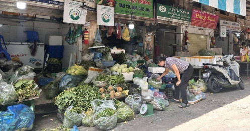 Bài viết HAY của chuyên gia