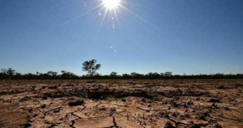 El Nino “tấn công” Đông Nam Á: Nguy cơ khủng hoảng lương thực cận kề