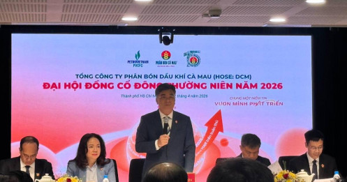 ĐHĐCĐ DCM 2026: Khát Vọng Tổng Công Ty Và Bước Ngoặt Chuỗi Giá Trị Nông Nghiệp Mới