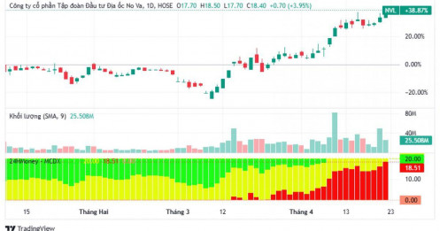 NVL “bốc đầu” trước giờ G: Đại hội cổ đông sắp “bung tin” gì?