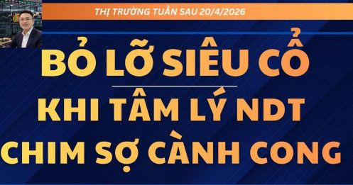 Nỗi lo sợ của nhà đầu tư cá nhân và quy luật lập lại mỗi chu kỳ