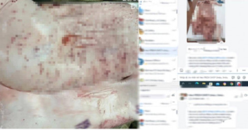 Từ vụ hóa đơn khống ở Cà Mau đến loạt “lùm xùm” liên quan C.P. Việt Nam