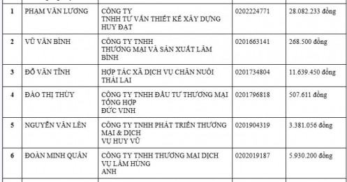 Danh sách “đen” của cơ quan thuế: 17 đại diện doanh nghiệp bị tạm hoãn xuất cảnh vì nợ thuế