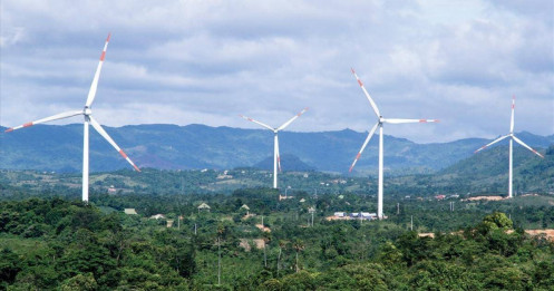 Nhóm Cổ Phiếu Điện: Khi Phòng Thủ Biến Thành Tháo Chạy - Giải Mã Cú Sốc PC1