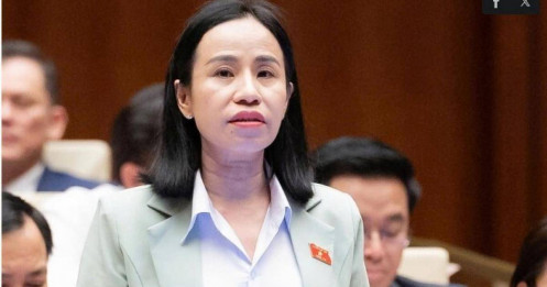 Đại biểu Quốc hội: Nên tăng thuế với xe điện từng bước để tránh 'cú sốc' thị trường