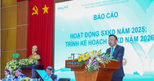 DPM và cú nhảy vọt lợi nhuận quý 1: Khi kế hoạch năm trở nên quá chật chội