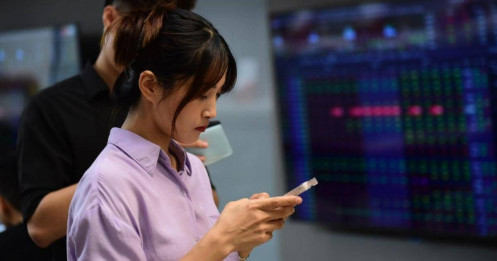 Đừng để chỉ số đánh lừa: Chiến thuật săn cổ phiếu "ngược dòng" rung lắc