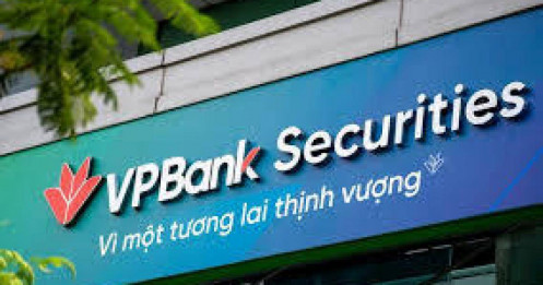 Cổ phiếu VPX: Khi margin biến dạng – tiền đang đi đâu?