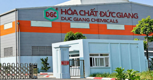 Vì sao lợi nhuận DGC bốc hơi mạnh?