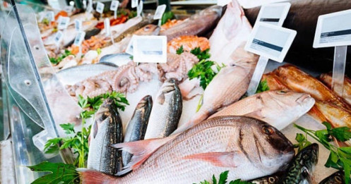 Rào cản thủ tục "siết cổ" hải sản sang Mỹ và EU