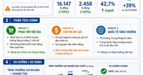 VNM quý I/2025: sức mạnh của "gã khổng lồ" trỗi dậy trong chu kỳ mới