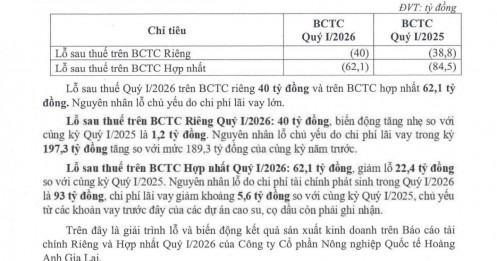 HAGL Agrico lỗ quý thứ 20 liên tiếp, gánh nợ vay hơn 10.000 tỷ đồng
