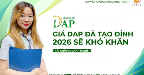 DDV: Giá DAP đã tạo đỉnh, 2026 sẽ khó khăn